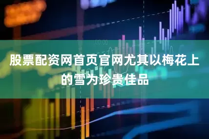 股票配资网首页官网尤其以梅花上的雪为珍贵佳品